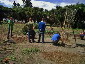 Garden prep 2 9th Grade