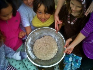 Freshly Ground Whole Wheat Pizza Dough