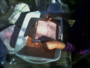 Blended Paper Soaked in Natural Madder Root Dye Bath