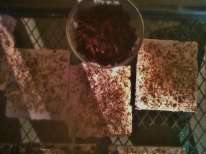 Natural Dyed Paper with Flower Seeds: Cut into Hearts for Lovely Valentines. Can be Planted in the Garden!