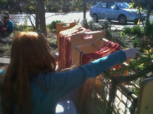 Choosing Natural Dyed Wool