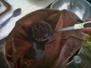 Madder Root Dye Bath