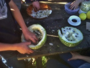 Scoop out the Flesh of the Gourd