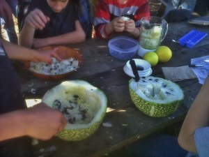 Chilacayote Smoothie