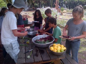 Grade 8 makes fresh garden salad for lunch