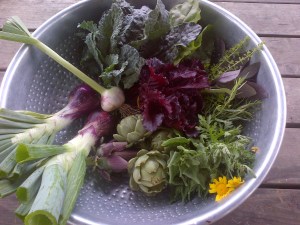 First spring harvest